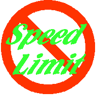 No Speed Limit Flyball Racing Team