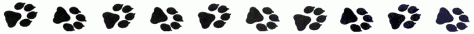 Pawprints