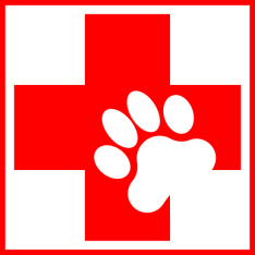 DogFirstAid