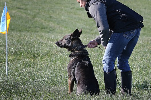 5_TD2_6D4A3163 copy copy