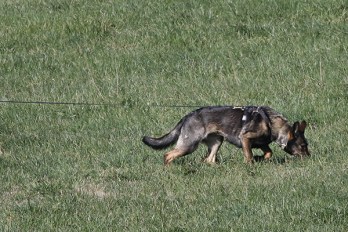 7_TD2_6D4A3267 copy copy