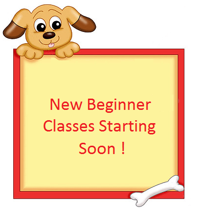 newbeginnerclassesimage